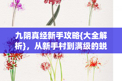 九阴真经新手攻略{大全解析},从新手村到满级的蜕变 九阴真经新手攻略{大全解析},从新手村到满级的蜕变