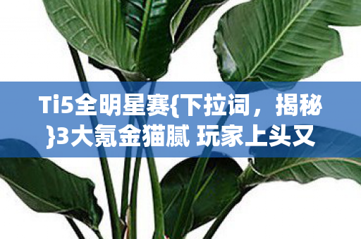 Ti5全明星赛{下拉词,揭秘}3大氪金猫腻 玩家上头又破防 Ti5全明星赛{下拉词,揭秘}3大氪金猫腻 玩家上头又破防