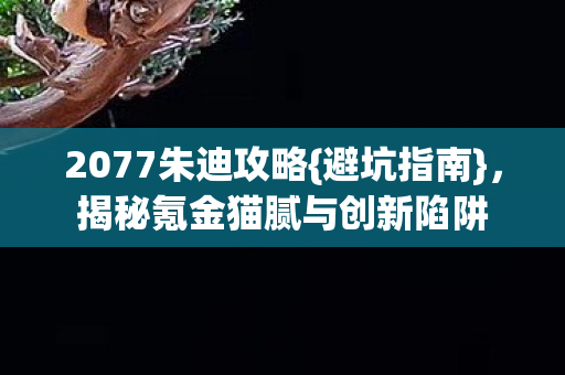 2077朱迪攻略{避坑指南},揭秘氪金猫腻与创新陷阱 2077朱迪攻略{避坑指南},揭秘氪金猫腻与创新陷阱