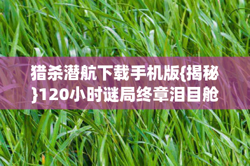 120小时谜局终章泪目舱门图片