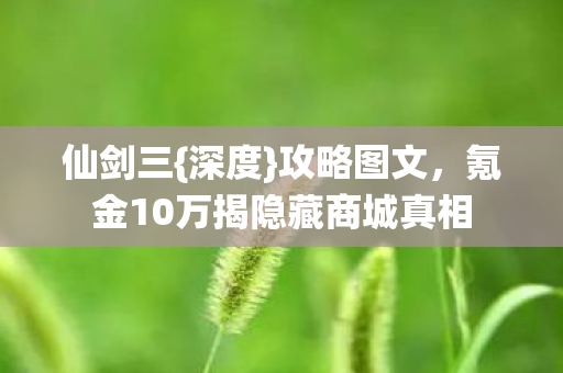 氪金10万揭隐藏商城真相图片