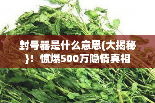 惊爆500万隐情真相图片