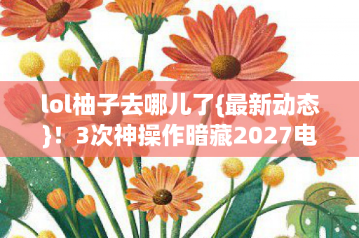 3次神操作暗藏2027电竞秘密图片