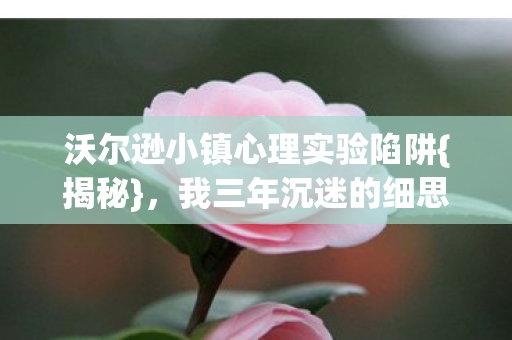 沃尔逊小镇心理实验陷阱{揭秘},我三年沉迷的细思极恐 沃尔逊小镇心理实验陷阱{揭秘},我三年沉迷的细思极恐