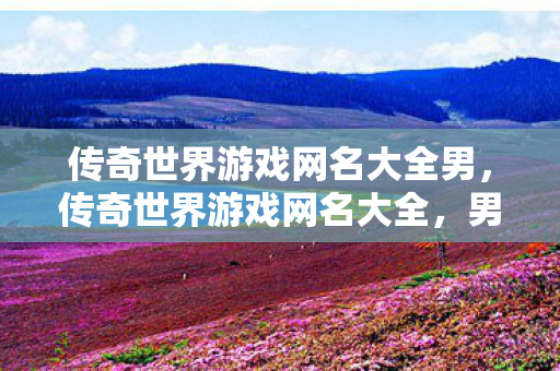 传奇世界游戏网名大全男图片