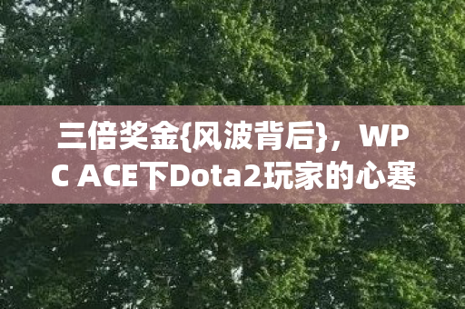 WPC ACE下Dota2玩家的心寒真相图片