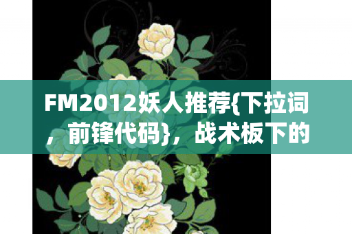 FM2012妖人推荐图片