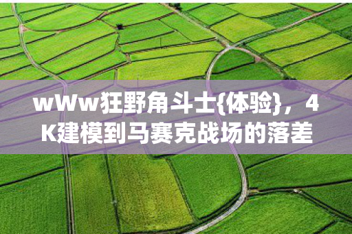 4K建模到马赛克战场的落差感图片
