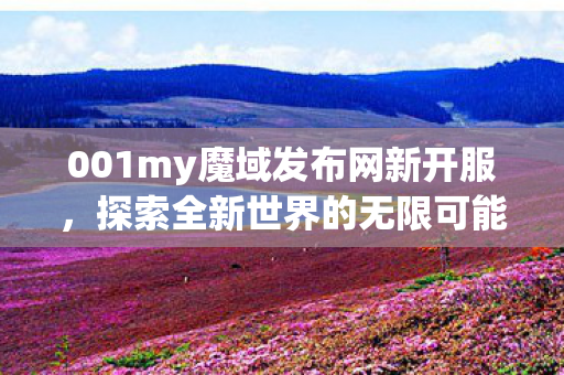 001my魔域发布网新开服图片