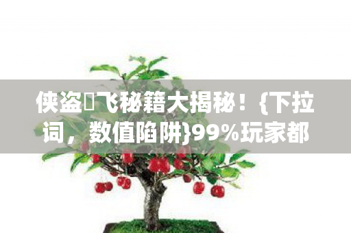 侠盗髙飞秘籍大揭秘！{下拉词，数值陷阱}99%玩家都不知