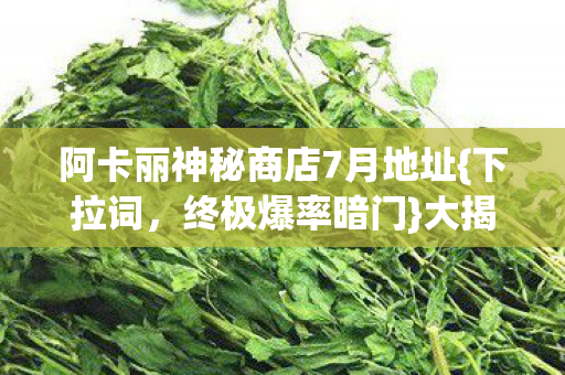 阿卡丽神秘商店7月地址{下拉词,终极爆率暗门}大揭秘 阿卡丽神秘商店7月地址{下拉词,终极爆率暗门}大揭秘
