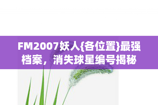 FM2007妖人{各位置}最强档案,消失球星编号揭秘 FM2007妖人{各位置}最强档案,消失球星编号揭秘
