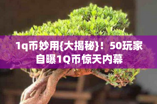1q币妙用{大揭秘}!50玩家自曝1Q币惊天内幕 1q币妙用{大揭秘}!50玩家自曝1Q币惊天内幕