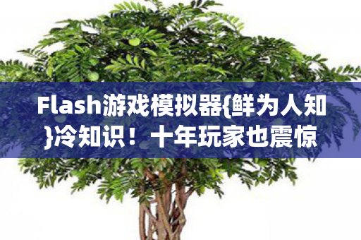 Flash游戏模拟器{鲜为人知}冷知识!十年玩家也震惊 Flash游戏模拟器{鲜为人知}冷知识!十年玩家也震惊