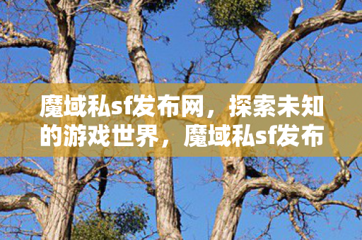 探索未知的游戏世界图片