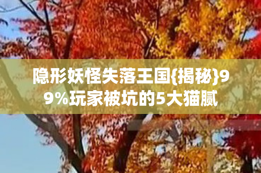 玩家被坑的5大猫腻图片