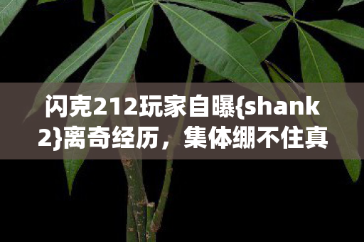 闪克212玩家自曝图片