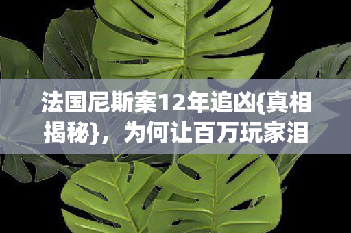 法国尼斯案12年追凶图片