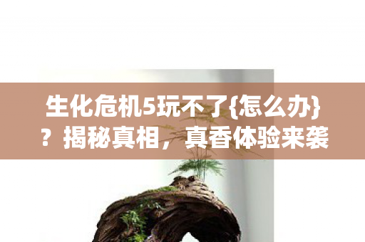 生化危机5玩不了图片