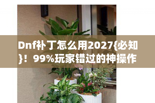 Dnf补丁怎么用2027图片