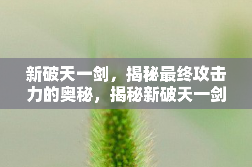 新破天一剑,揭秘最终攻击力的奥秘,揭秘新破天一剑最终攻击力的奥秘 新破天一剑,揭秘最终攻击力的奥秘,揭秘新破天一剑最终攻击力的奥秘