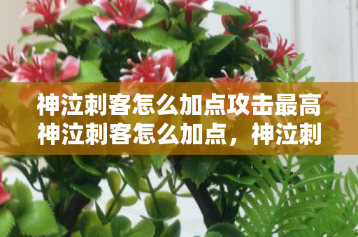 神泣刺客怎么加点攻击最高神泣刺客怎么加点,神泣刺客最高攻击加点法 神泣刺客怎么加点攻击最高神泣刺客怎么加点,神泣刺客最高攻击加点法