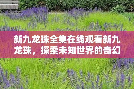 新九龙珠全集在线观看新九龙珠图片