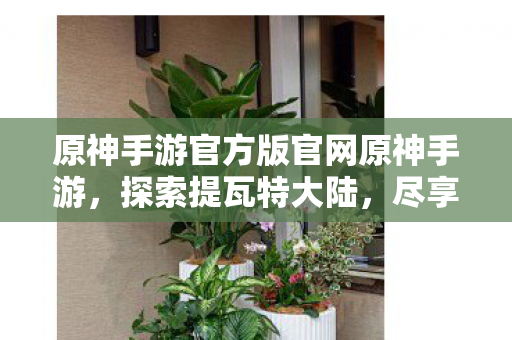 原神手游官方版官网开启全新冒险图片
