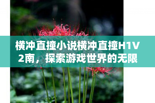 横冲直撞小说横冲直撞H1V2南图片