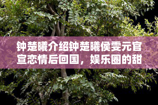 钟楚曦介绍钟楚曦侯雯元官宣恋情后回国图片
