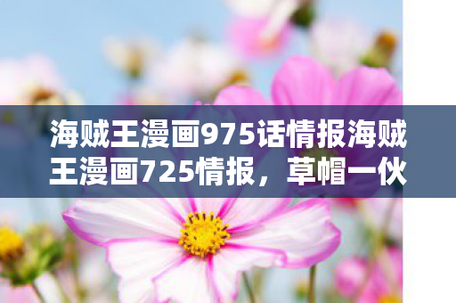 海贼王漫画975话情报海贼王漫画725情报图片