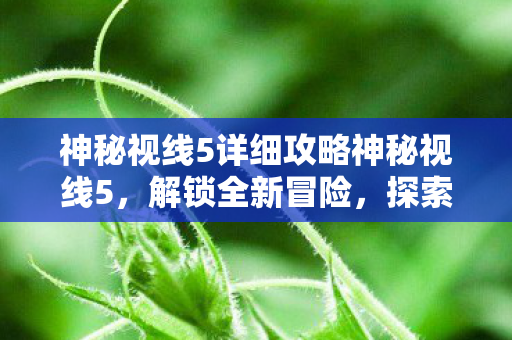 神秘视线5详细攻略神秘视线5图片