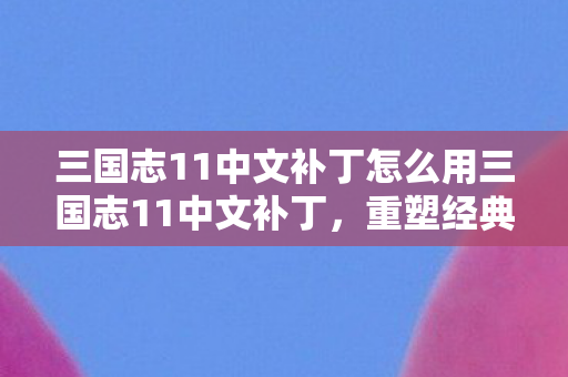 三国志11中文补丁怎么用三国志11中文补丁图片