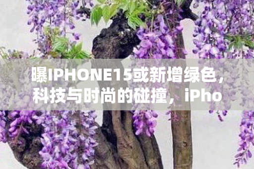 曝IPHONE15或新增绿色图片