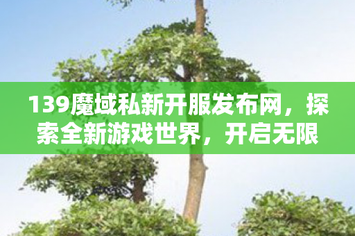 139魔域私新开服发布网图片