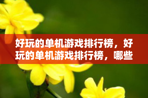 好玩的单机游戏排行榜图片