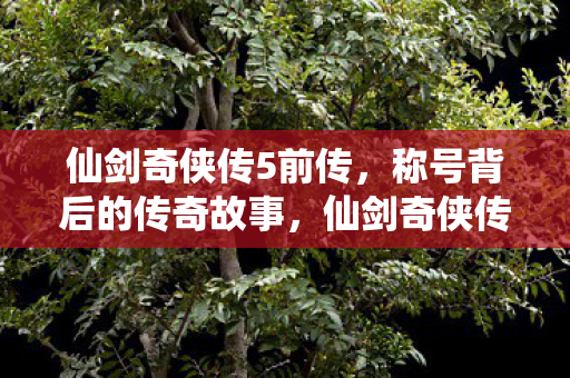 仙剑奇侠传5前传称号背后的传奇故事图片