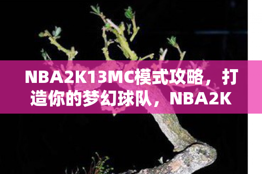 NBA2K13MC模式攻略图片