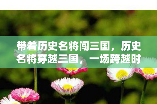 带着历史名将闯三国图片