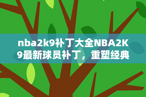 nba2k9补丁大全NBA2K9最新球员补丁图片