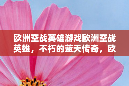 欧洲空战英雄游戏欧洲空战英雄图片