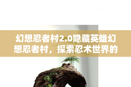 0隐藏英雄幻想忍者村图片