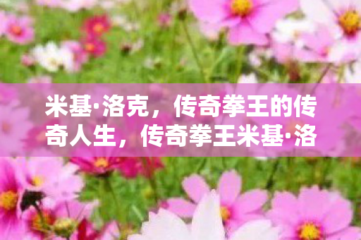 拳击生涯的辉煌与挫折图片