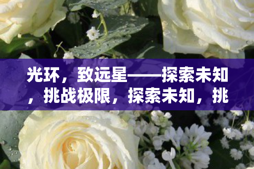 光环致远星之旅图片