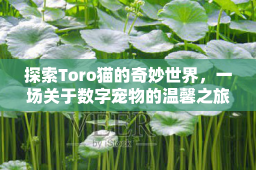 一场关于数字宠物的温馨之旅图片
