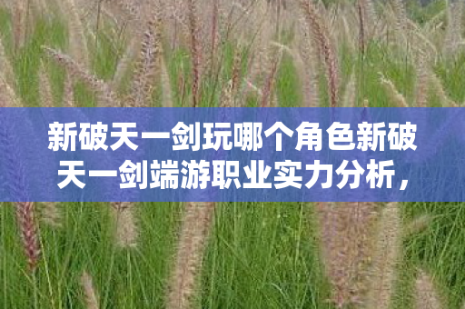 新破天一剑玩哪个角色新破天一剑端游职业实力分析，新破天一剑端游职业实力分析，哪个角色值得选择？