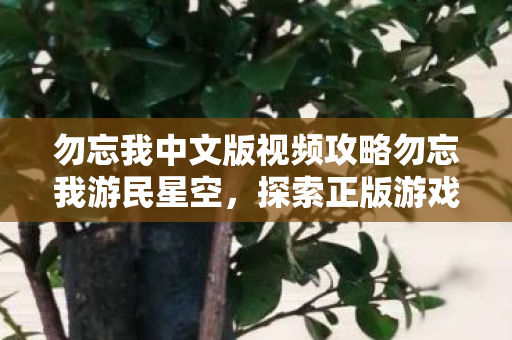 勿忘我中文版视频攻略勿忘我游民星空图片