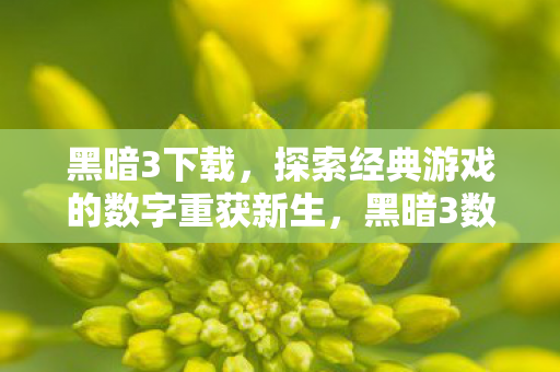 探索经典游戏的数字重获新生图片
