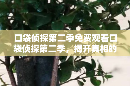 口袋侦探第二季免费观看口袋侦探第二季图片