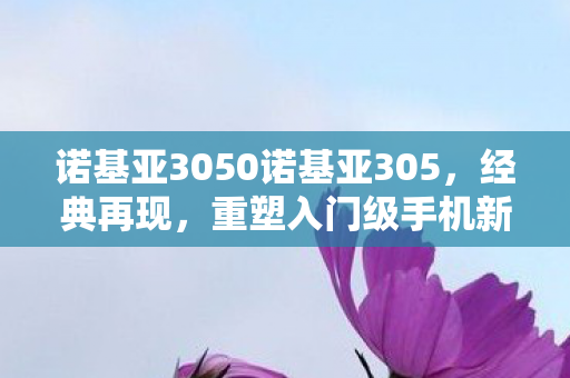 诺基亚3050诺基亚305图片